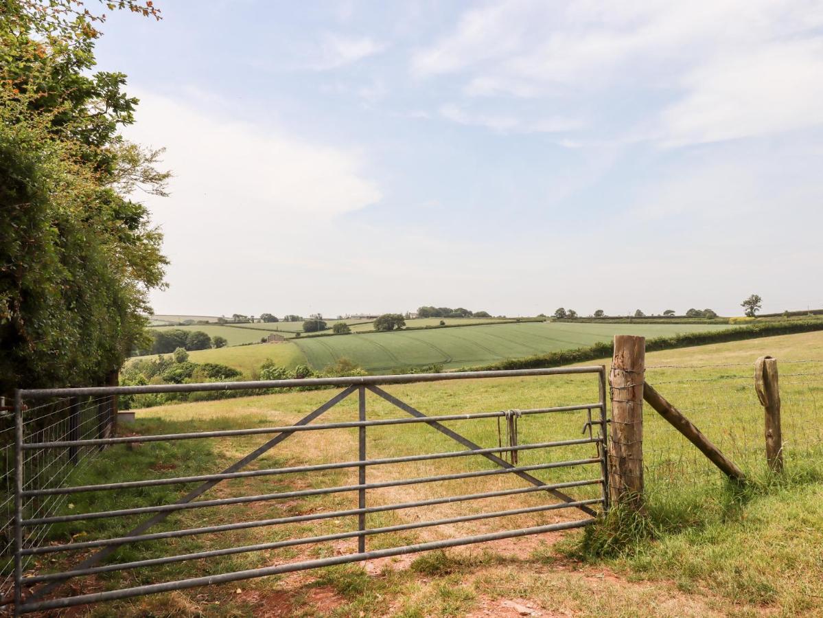 Mabel'S View Villa Totnes Bagian luar foto